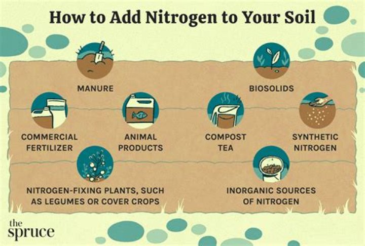 How can I make nitrogen naturally?