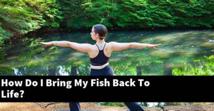 How do I bring my fish back to life?