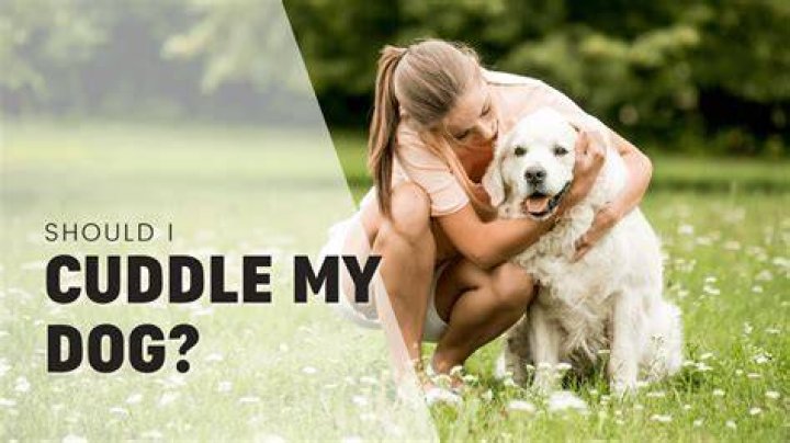 How do I get my dog to cuddle with me?