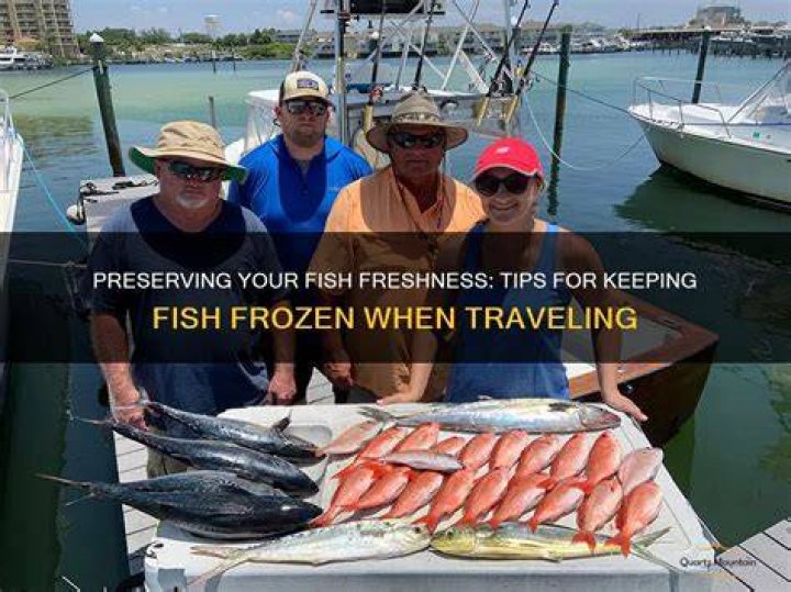 How do you keep fish frozen when traveling?