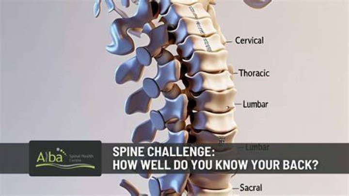 How do you know if your spine is aligned?