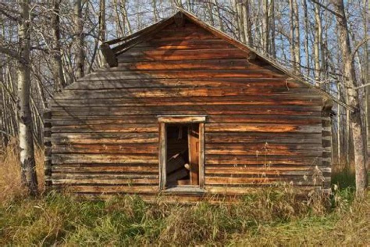 How many years does a log cabin last?