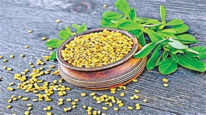 How much fenugreek should I take?