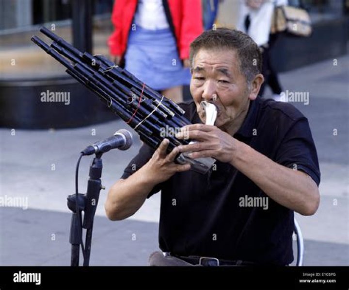 Is a Chinese bamboo mouth organ?