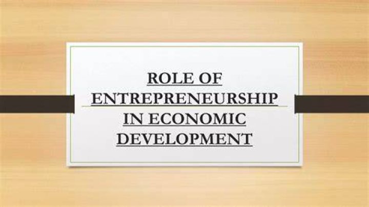 What are the roles of entrepreneur in economic development?