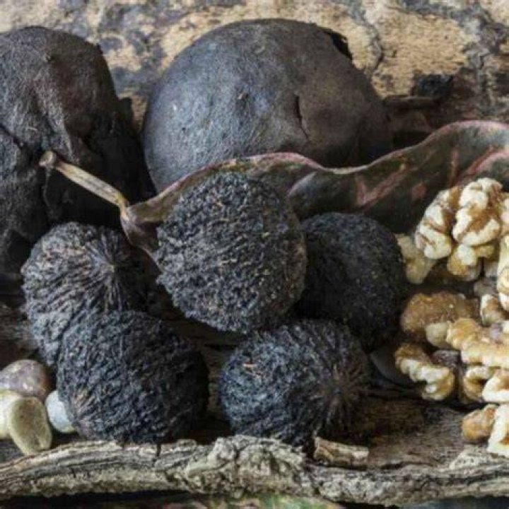 What does black walnut do to parasites?