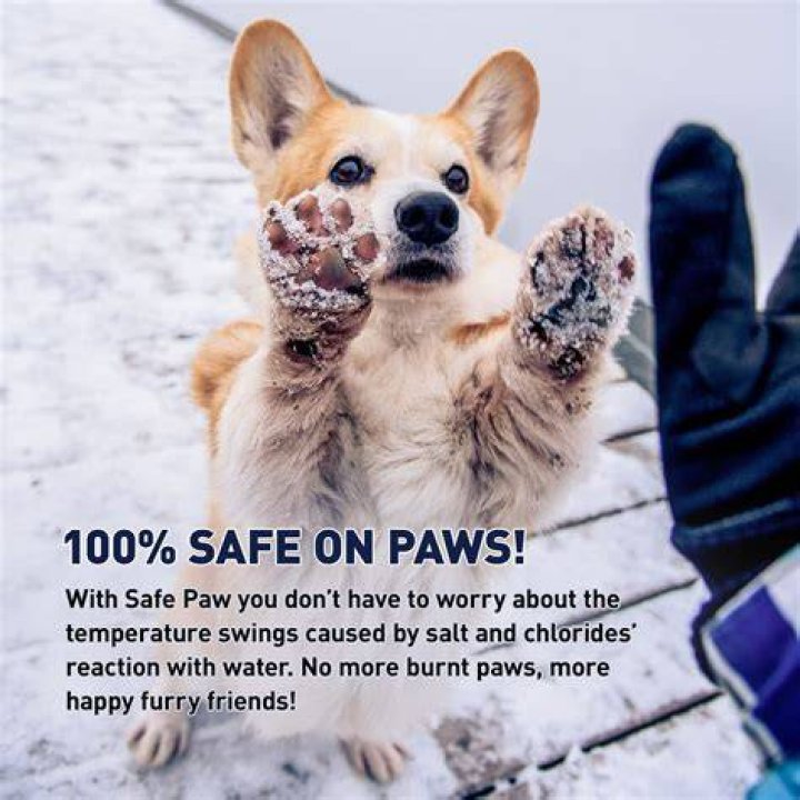 What does salt do to my dogs paws?