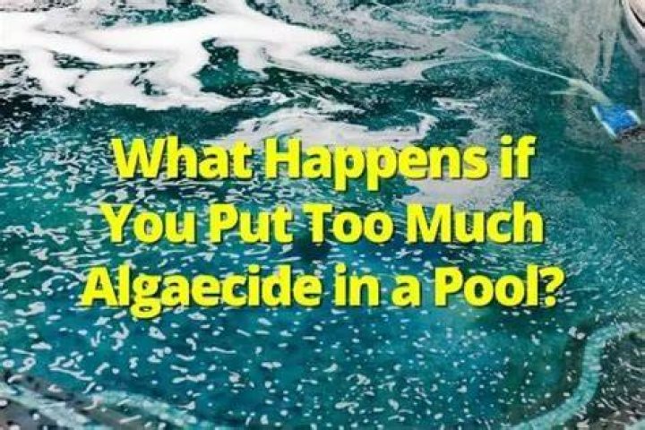 What happens if you put too much algaecide in your pool?