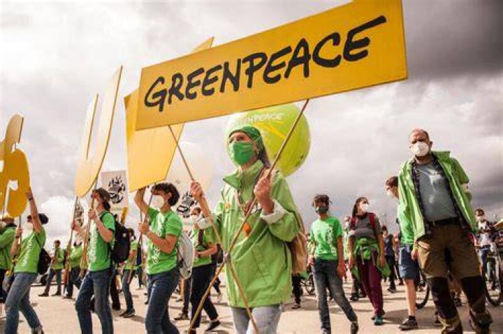 What is Greenpeace known for?