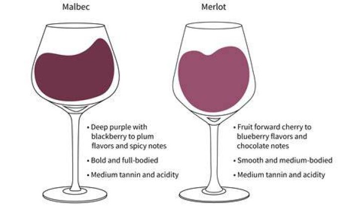 What is the difference between Malbec and red wine?