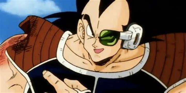 What is the shortest arc in anime?