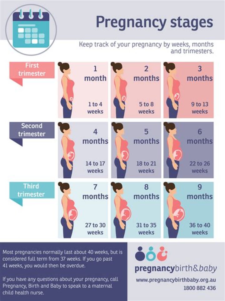What month is the best to get pregnant?