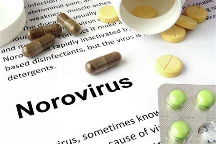 What vitamins are good for norovirus?