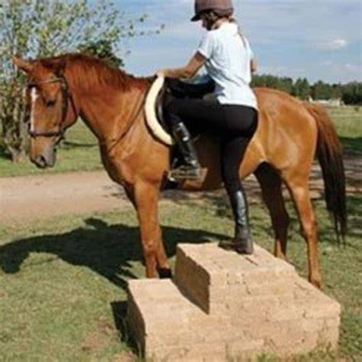 Why can't you mount a horse on the right side?