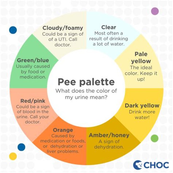 Why do I pee all the time female?